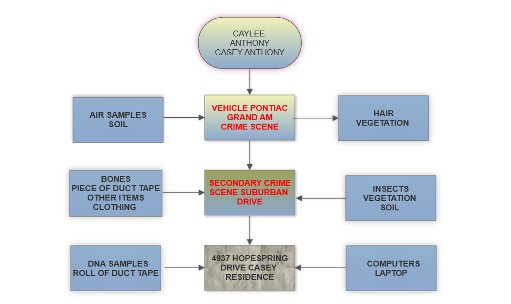 More Important Evidence